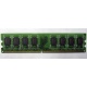 Модуль оперативной памяти 4096Mb DDR2 Patriot PSD24G8002 pc-6400 (800MHz)  (Хабаровск)