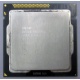 Процессор Intel Celeron G530 (2x2.4GHz /L3 2048kb) SR05H s.1155 (Хабаровск)