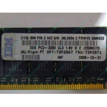 IBM 73P2871 73P2867 2Gb (2048Mb) DDR2 ECC Reg memory (Хабаровск)
