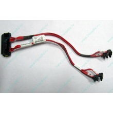 SATA-кабель для корзины HDD HP 451782-001 459190-001 для HP ML310 G5 (Хабаровск)