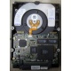 Жесткий диск 18.2Gb IBM Ultrastar DDYS-T18350 Ultra3 SCSI (Хабаровск)