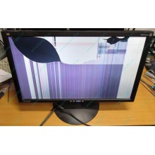 ViewSonic VA2413WM-2 разбитая матрица (Хабаровск)