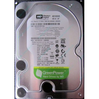 Б/У жёсткий диск 1Tb Western Digital WD10EVVS Green (WD AV-GP 1000 GB) 5400 rpm SATA (Хабаровск)