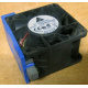 Вентилятор TFB0612GHE для корпусов Intel SR2300 / SR2400 (Хабаровск)