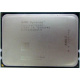 AMD Opteron 6128 OS6128WKT8EGO (Хабаровск)