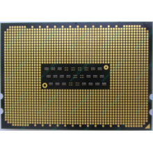 AMD Opteron 6128 OS6128WKT8EGO (Хабаровск)