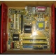 Материнская плата Asus P5L-VM 1394 s.775 (Хабаровск)
